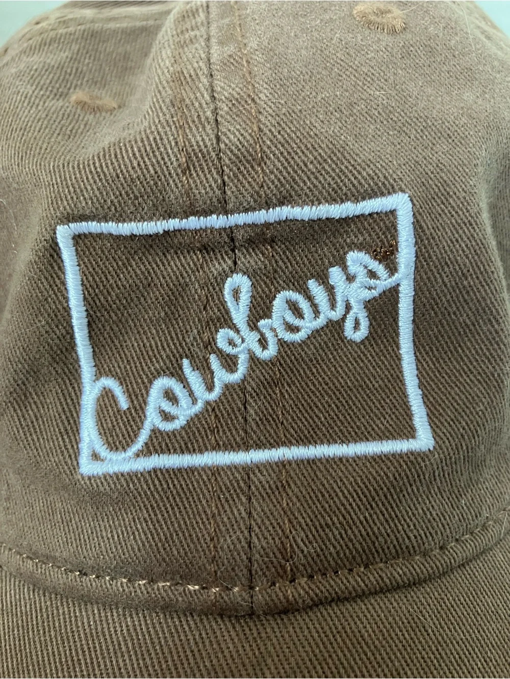 Wyoming Cowboys Embroidered Brown Baseball Cap Adjust Clip University UW Laramie